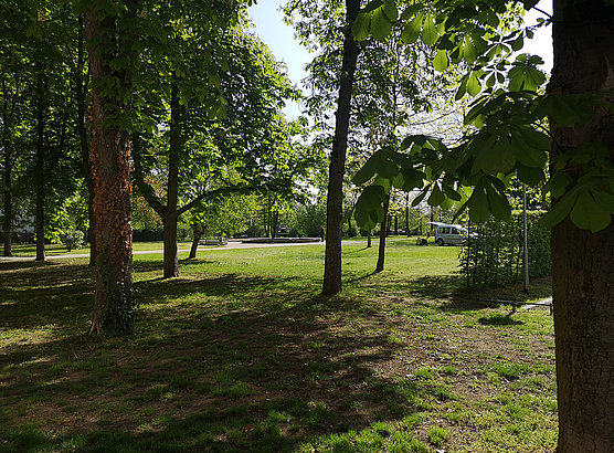 Umgebung: Park